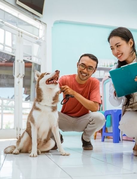 veterinaria observando canino en pagian En Mena Odontovet, entendemos que una boca sana es clave para una vida plena y feliz. Nos dedicamos a mejorar la salud y el bienestar general de tu compañero peludo a través de un cuidado dental excepcional. Desde la prevención de enfermedades hasta tratamientos avanzados, nuestro equipo garantiza que tu mascota reciba la atención más gentil y efectiva, contribuyendo significativamente a su longevidad y calidad de vida.